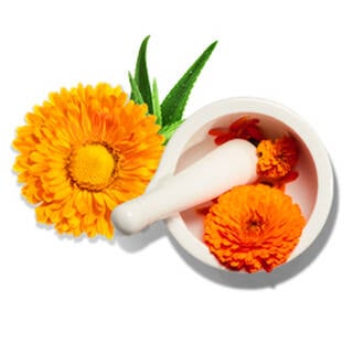 Calendula Extract