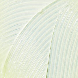 Lip Balm #1